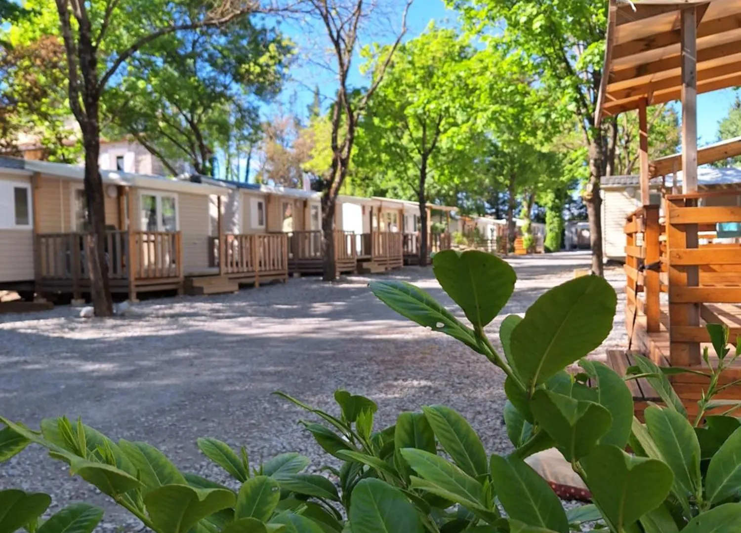 Les Rives D'Auzon Hotel Lavilledieu  Campsite Lavilledieu (Ardeche)